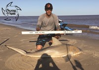 Shark Tribe - Jimmy Limon