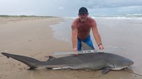 Sharkaholics - Ron Richmond