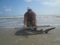 Sharkaholics - Ron Richmond
