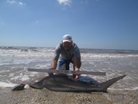 Sharkaholics - Ron Richmond