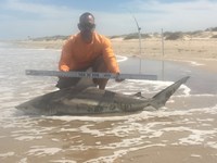 TEAM H&J SHARK HUNTERS - CRAIG  OTTOFARO