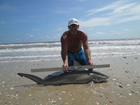 Sharkaholics - Ron Richmond