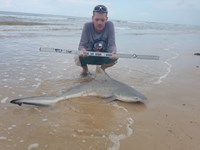 Shark At The Moon - Nick Fuller