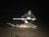 Shark At The Moon - Derik Dark