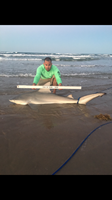 TEAM H&J SHARK HUNTERS - CRAIG  OTTOFARO