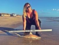 Shark Tribe - Jennifer Merchant