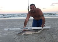 Shark Tribe - Tim Merchant