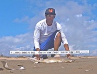 Shark Tribe - Jimmy Limon