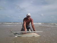 Sharkaholics - Ron Richmond