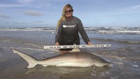 Shark Tribe - Jennifer Merchant
