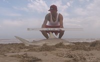 Shark Tribe - Jimmy Limon