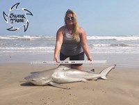 Shark Tribe - Jennifer Merchant