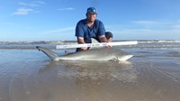 Sharkaholics 2 - Chase Schuelke