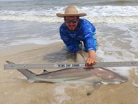 Sharkaholics - Zach Crain