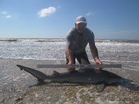 Sharkaholics - Ron Richmond