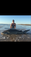 TEAM H&J SHARK HUNTERS - JESSICA MARTINEZ ABREGO
