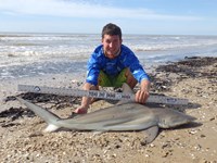 Sharkaholics - Zach Crain