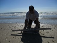 Sharkaholics - Ron Richmond