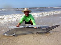 Sharkaholics - Zach Crain