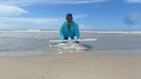 Sharkaholics 2 - Chase Schuelke