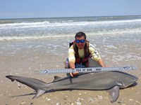Sharkaholics - Zach Crain
