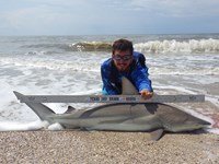 Sharkaholics - Zach Crain