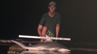REELentless Sharkers - Clayton Nagler