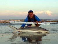 Sharkaholics - Zach Crain
