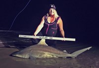 Shark Tribe - Jennifer Merchant