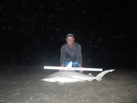 Sharkaholics - Ron Richmond
