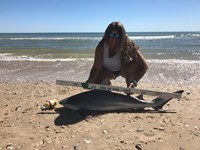 Team JackWagon - Kimberly Collier