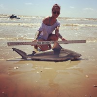 Shark Tribe - Lisa Limon