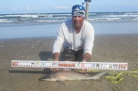 Shark Tribe - Tim Merchant