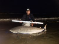 TEAM H&J SHARK HUNTERS - CRAIG  OTTOFARO