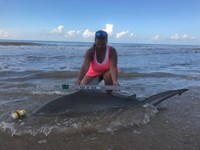 Team JackWagon - Kimberly Collier