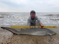 Sharkaholics - Zach Crain