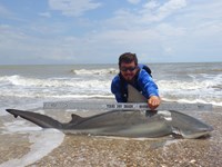 Sharkaholics - Zach Crain
