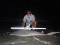 Sharkaholics - Ron Richmond