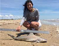 Fight the Fish - Susana Purin