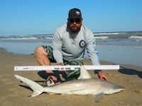 Crankin Crew - david gill