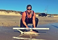 Shark Tribe - Jennifer Merchant