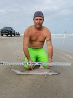 Shark Tribe - Tim Merchant