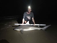 Shark At The Moon - Nick Fuller