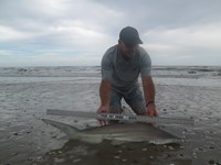 Sharkaholics - Ron Richmond