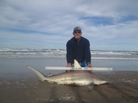 Sharkaholics - Ron Richmond