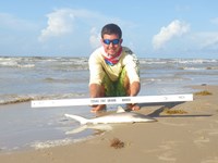 Sharkaholics - Zach Crain