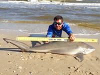 Sharkaholics - Zach Crain