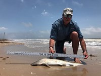 Fight the Fish - Paul Van Wyk