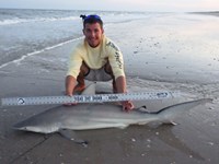 Sharkaholics - Zach Crain