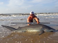 Sharkaholics - Zach Crain